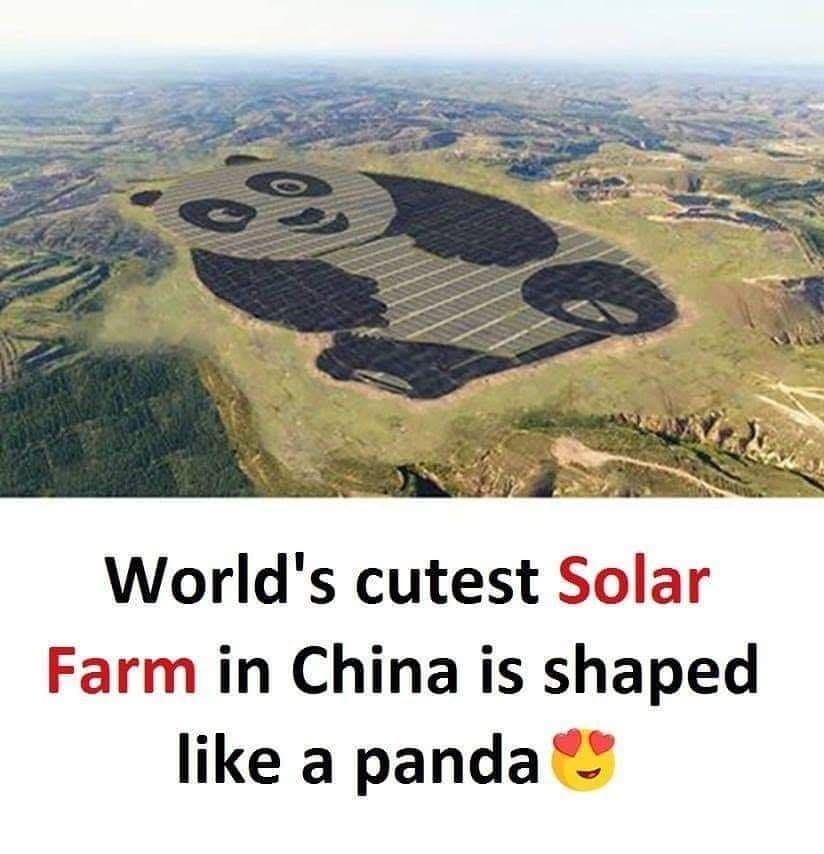 Luftbild eines Solarparks in Pandaform.